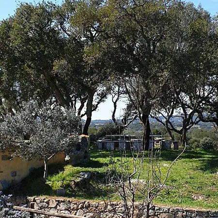 Cantina Perandria 3* Monti