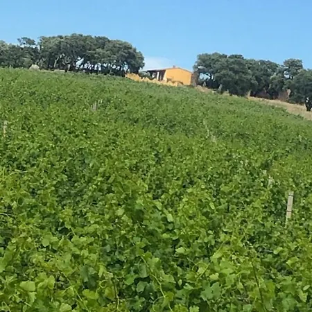 Cantina Perandria Oda ve Kahvaltı 3*